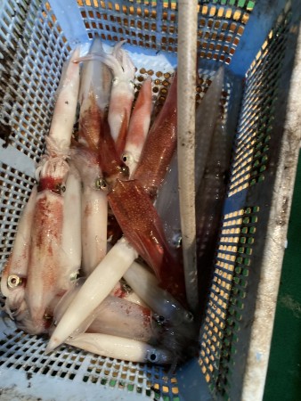 釣果写真