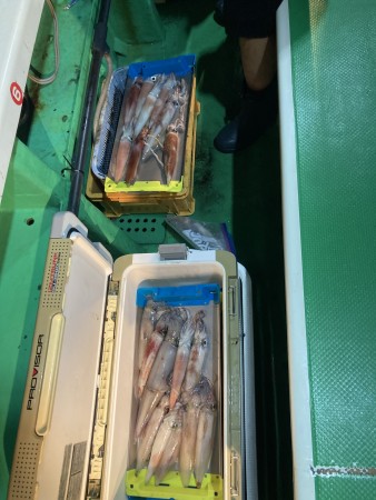 釣果写真