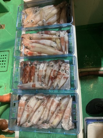 釣果写真