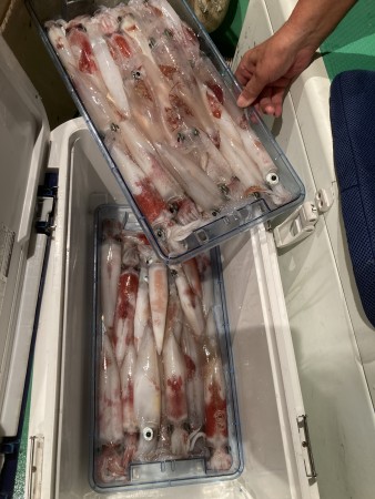 釣果写真