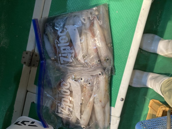 釣果写真