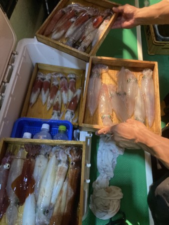 釣果写真