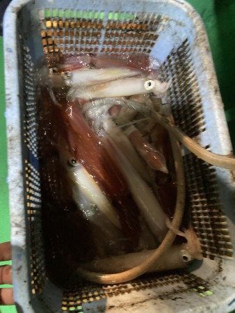 釣果写真