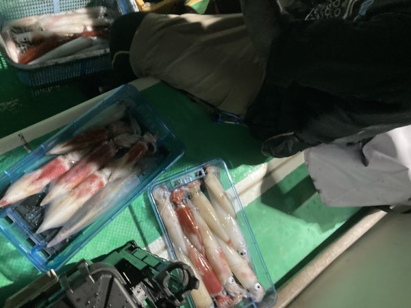 釣果写真