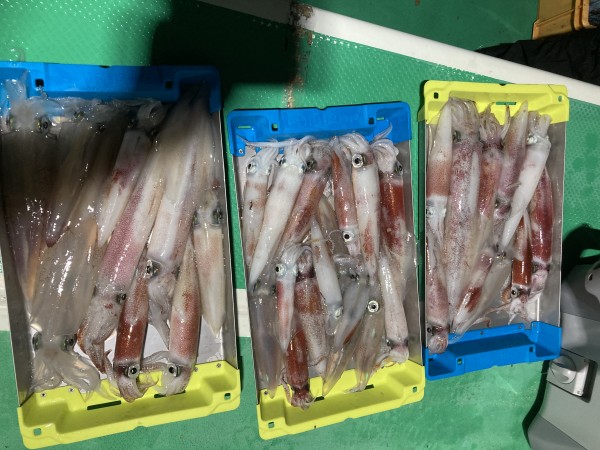 釣果写真