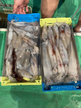 釣果写真