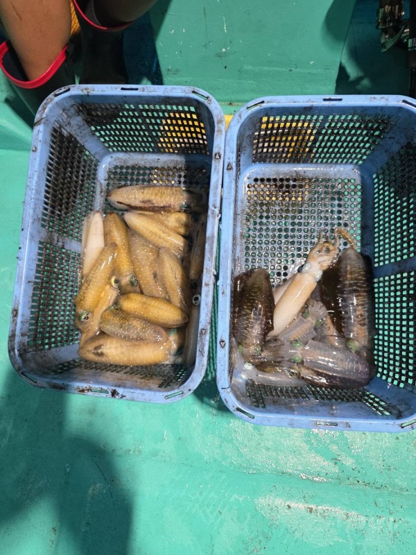 釣果写真