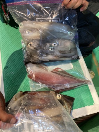 釣果写真
