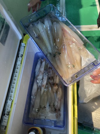 釣果写真