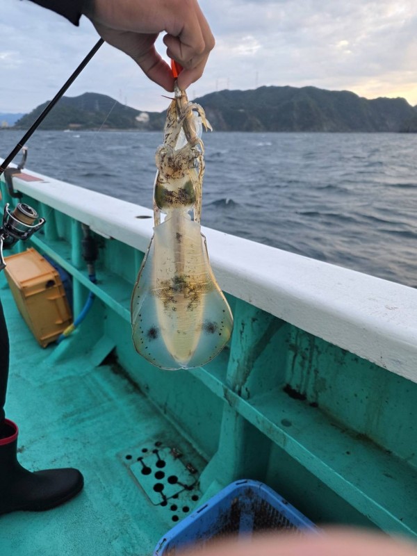 釣果写真