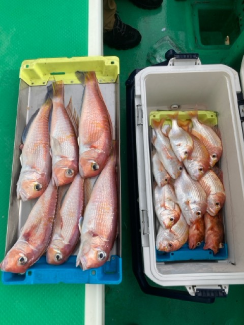 釣果写真